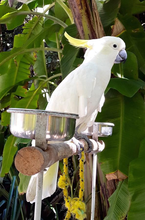 Kuranda Ngorongoro Lodge Zewnętrze zdjęcie