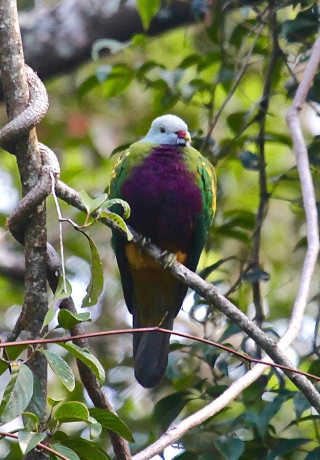 Kuranda Ngorongoro Lodge Zewnętrze zdjęcie