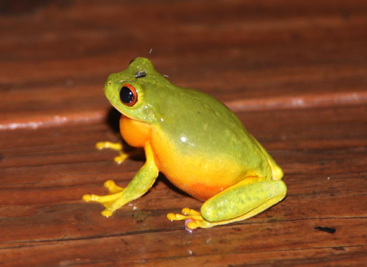 Kuranda Ngorongoro Lodge Zewnętrze zdjęcie